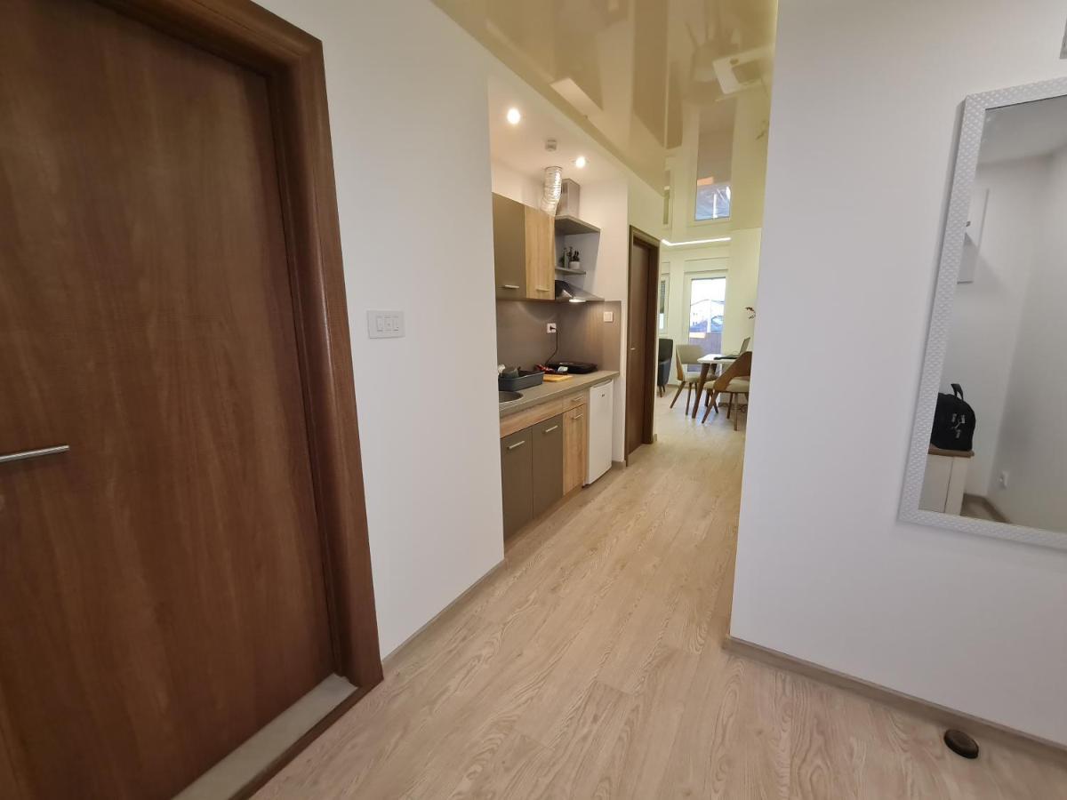 Airport Molko Apartments Surcin Exterior photo